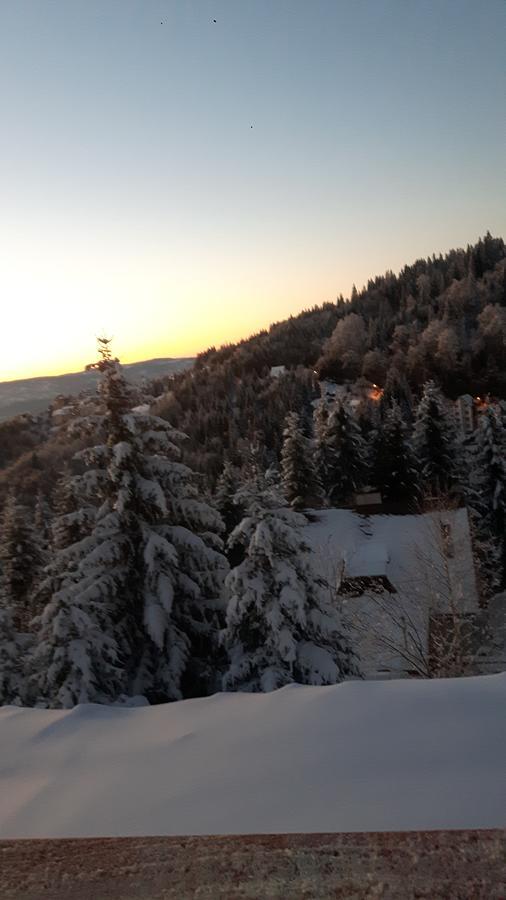 Vila Natasa Kopaonik Eksteriør bilde