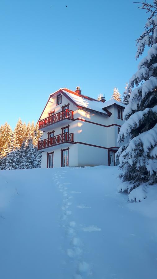 Vila Natasa Kopaonik Eksteriør bilde